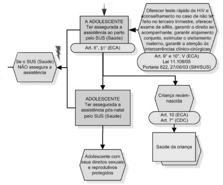 EM DIA COM O CDC Projeto Proteção Integral e Atuação em Rede define objetivos para fortalecer o Sistema de Garantia de Direitos em Ipojuca Depois do diagnóstico que identificou principais desafios,