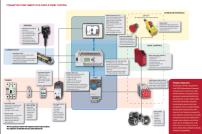 VantagePoint Pavilion Soluções Energy Info. Electrical Load Mgt HVAC -R Central Utilities.