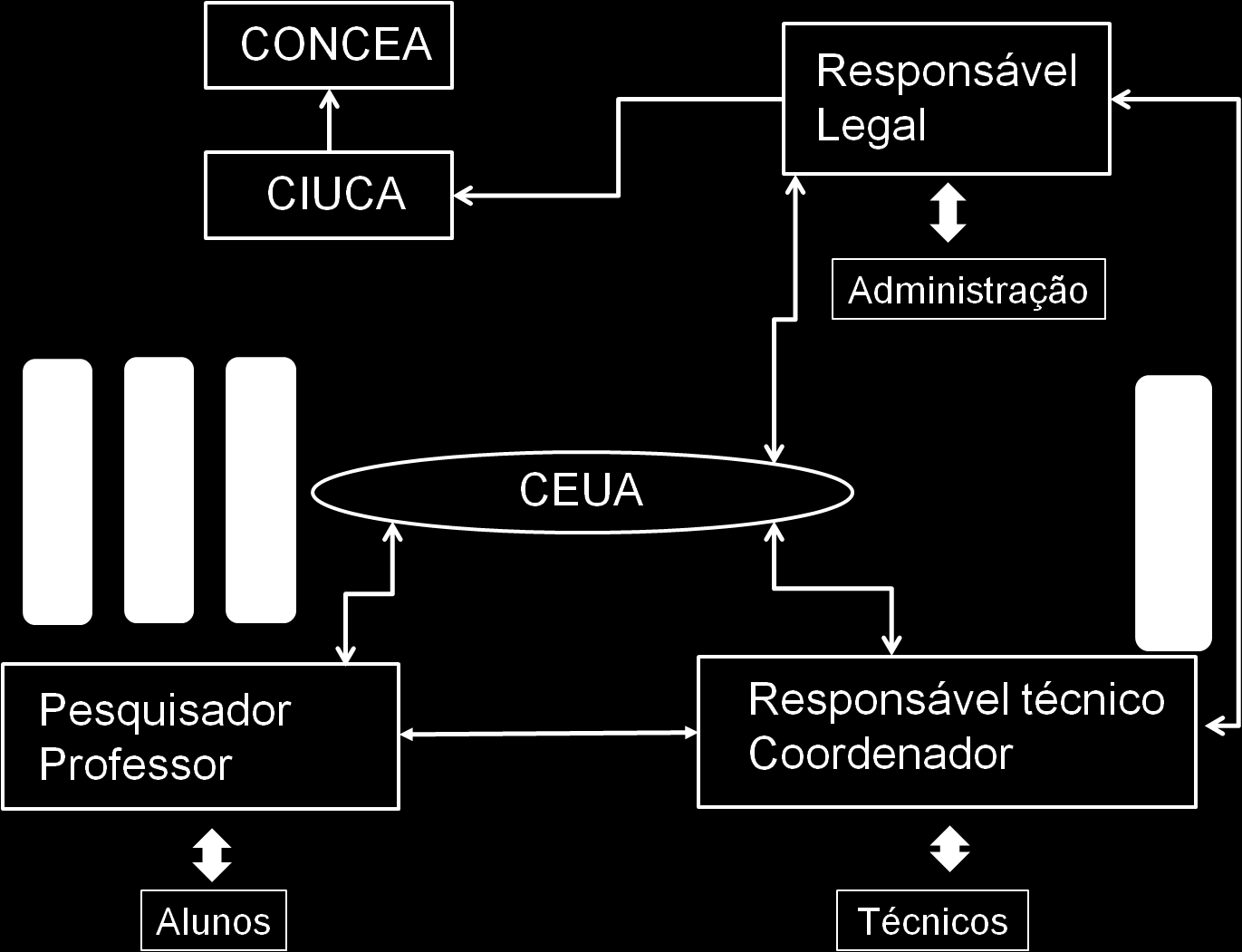 Realidade