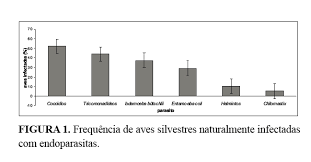 As infecções parasitárias devem ser tratadas, pois em grandes proporções podem causar problemas