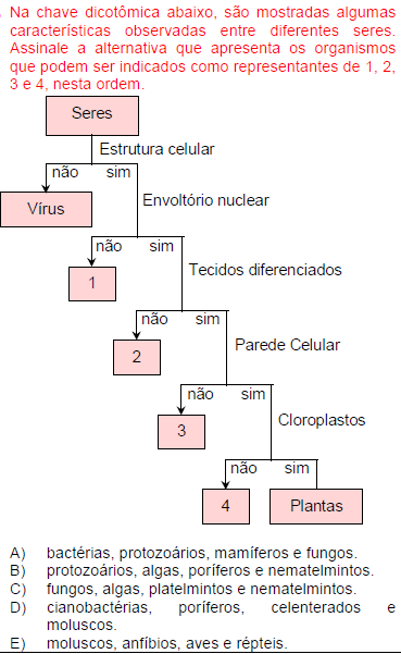 PRÉ-VESTIBULAR DOS COMERCIÁRIOS-FCT DISCIPLINA: BIOLOGIA PROFESSOR: MOUZER COSTA ALUNO (A): 1.