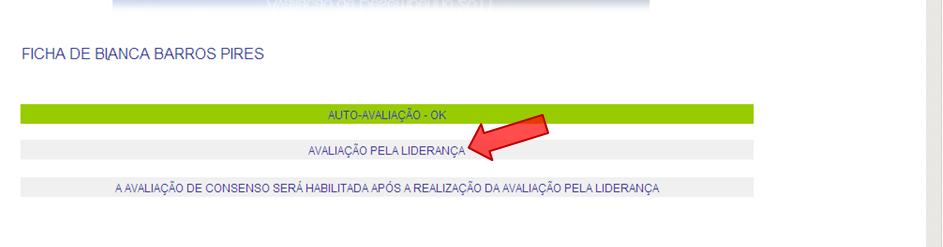 Enquanto o colaborador selecionado ainda não tiver realizado a autoavaliação, não será possível realizar a