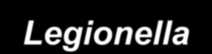 Características do género Legionella Bacilo de Gram negativo, pleomórfico, aeróbio, móvel Ubíquo na água doce ambiente, associado a