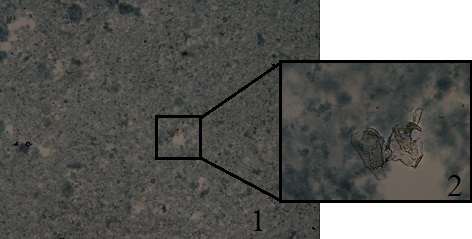Caracterização dos Materiais Sintetizados Figura 45- Imagens microscópicas obtidas. (1) Ampliação de 4. (2) Ampliação de 10. 5.