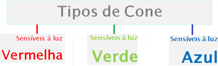 Percepção de Cores Cada tipo de cone responde mais intensamente à