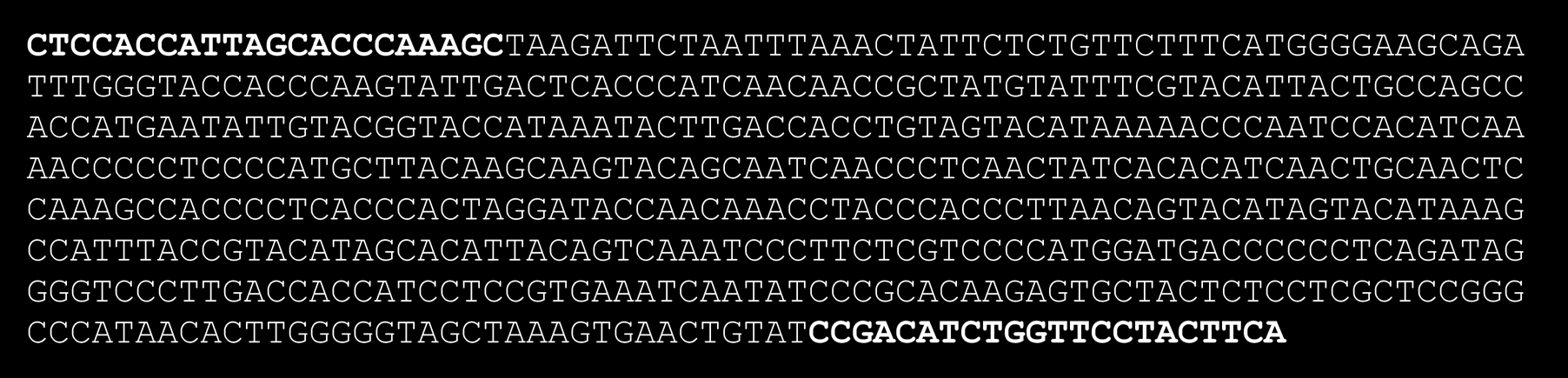 sequenciar. A detecção da presença ou ausência da deleção 4977pb no mtdna também foi feita utilizando a técnica de PCR. O gene NAT2 foi amplificado a partir da posição nt+127 até à posição nt+965.