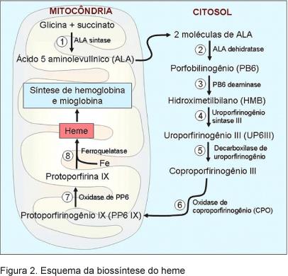 Biossíntese