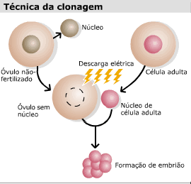 Dolly nasceu com