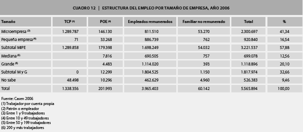 100 Tabela 4: Estrutura de emprego por dimensão de empresa no Chile Fonte: OIT, SERTEC, 2010.