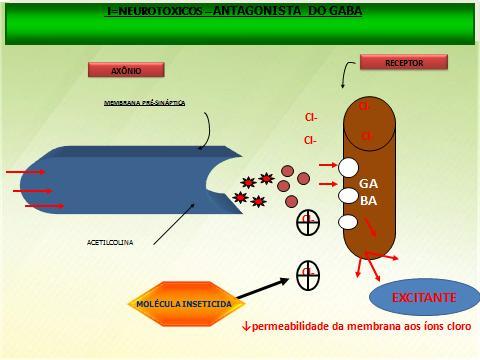 amino butírico). Ou seja, impedem que, após a transmissão normal de um impulso nervoso, se desencadeie o processo normal de inibição, que restabelece o estado de repouso do sistema nervoso central.