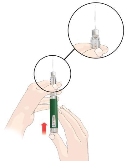 CM06NOV09 10 Regule a caneta Empurre o botão injetor da caneta e segure-o por 5 segundos. Observe se um jato de insulina sai da agulha.