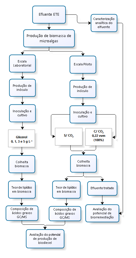 Figura 3.