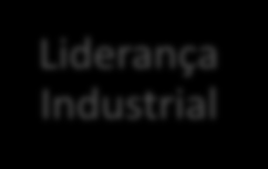 HORIZONTE 2020 3 pilares Excelência Científica Excelência Científica Bottom up ERC, European Research Area Liderança Industrial Desafios Societais Societal Challenges Top down focalizado nso