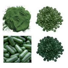 Producto Final (Chlorella) Productos comerciais (comprimidos e cápsulas) Amostras de biomasa comercial Sequenciação do 18S rdna Outras especies (Scenedesmus, Parachlorella, ) Diferentes