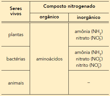 Conversão da amônia em nitrito. b) Produção de nitrato a partir da amônia. c) Liberação de gás nitrogênio para o ambiente. d) Incorporação de nitrogênio molecular em aminoácidos.