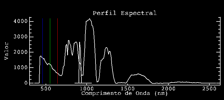 Detalhes do comportamento espectral da vegetação em uma cena do sensor Hyperion.