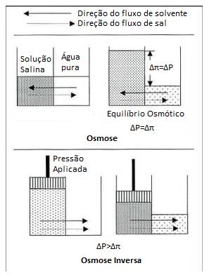 20 Dessalinização de água salobra e/ou salgada: métodos, custos e aplicações Figura 2.15: Princípio da Osmose Inversa. Adaptado de YOUNOS e TULOU (2005).