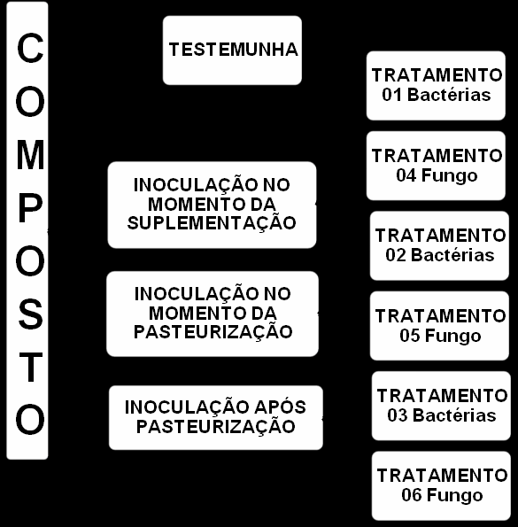 apenas uma espécie de fungo (Scytalidium thermophilum) e o segundo foi constituído de duas espécies de bactérias (Alcaligenes faecalis Pseudomonas sp e Bacillus subtillis).