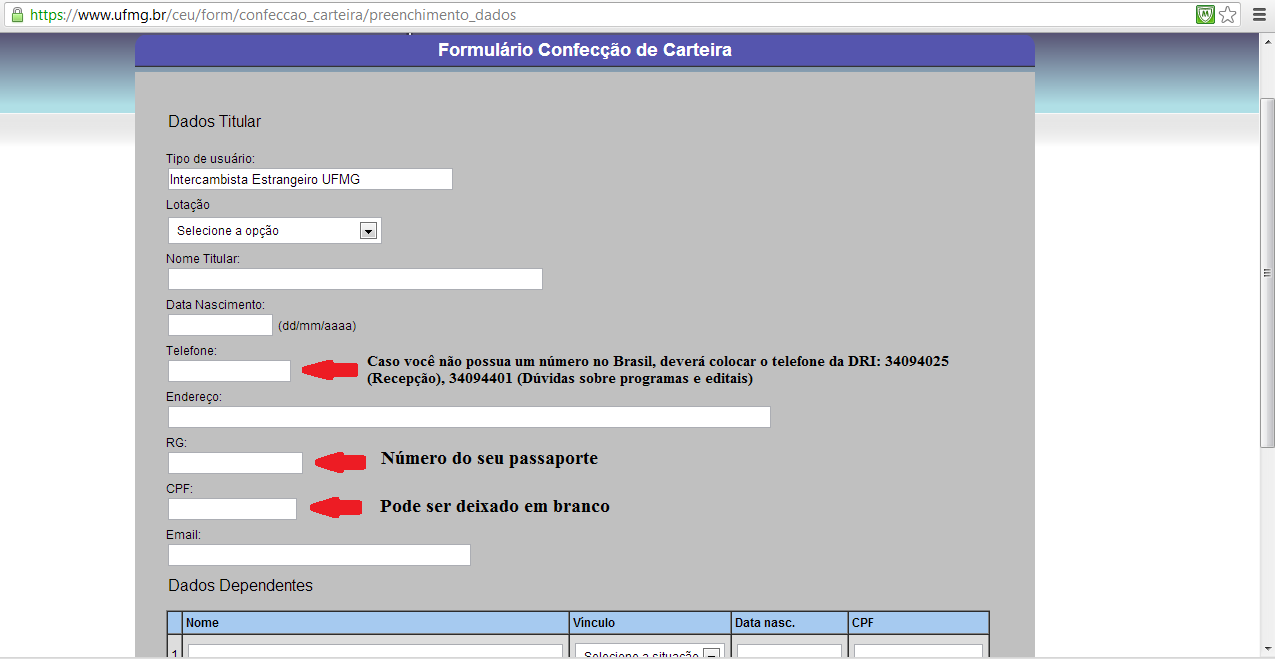 No campo referente a RG você deverá colocar o número do seu passaporte. O campo CPF pode ser deixado em branco caso ainda não tenha feito.