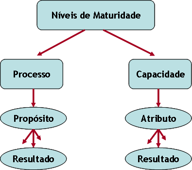 efetiva implementação do processo. Já a capacidade do processo é representada por um conjunto de atributos descritos em termos de resultados esperados, conforme mostrado na Figura 1.