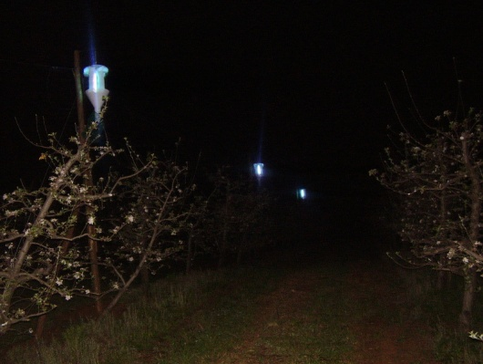 32 3.2.3 Monitoramento e identificação das mariposas Ao funil de cada armadilha foram acoplados frascos de plástico com capacidade de 3,5 L para a coleta dos insetos, contendo 500 ml de álcool