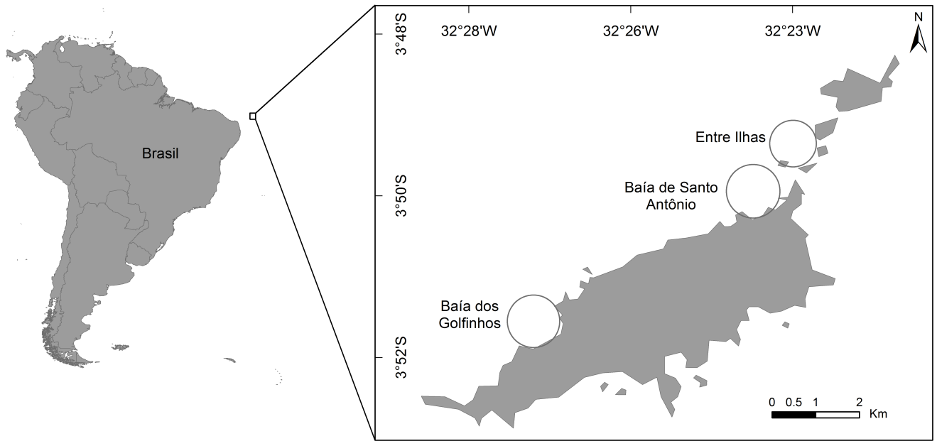 5 Todo o território do Arquipélago integra duas Unidades de Conservação Federais: o Parque Nacional Marinho de Fernando de Noronha (PARNAMAR-FN), criado em 1988 correspondendo a 70% do arquipélago,