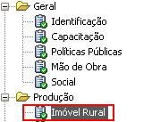 7) Para Adicionar mais Imóveis Rurais clique no botão +; 8) Para Remover Imóveis Rurais selecione o Imóvel Rural que deseja excluir e clique no botão - ; 9) Após realizar o Cadastro do