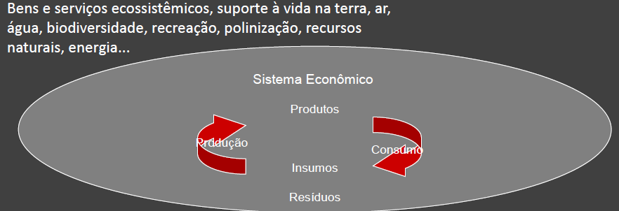 O meio ambiente é fornecedor de materiais e receptor de resíduos A degradação ambiental pode ser um fator limitante ao crescimento