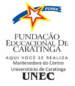 entidades representativas, autoridades e a empresa contratada consultoria (Figura 03).