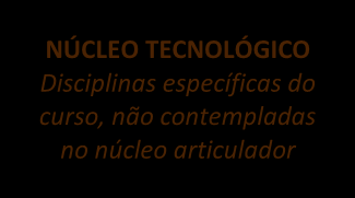 CURSO FIC DE QUALIFICAÇÃO PROFISSIONAL NÚCLEO FUNDAMENTAL Disciplinas de revisão do ensino fundamental ou médio NÚCLEO ARTICULADOR Disciplinas de base científica e tecnológica comuns aos eixos