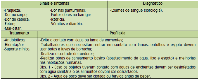 Também é possível contrair a doença por ingestão de alimentos contaminados, pelo contato direto da boca em latas de refrigerantes e cervejas ou pela própria mordida dos ratos.