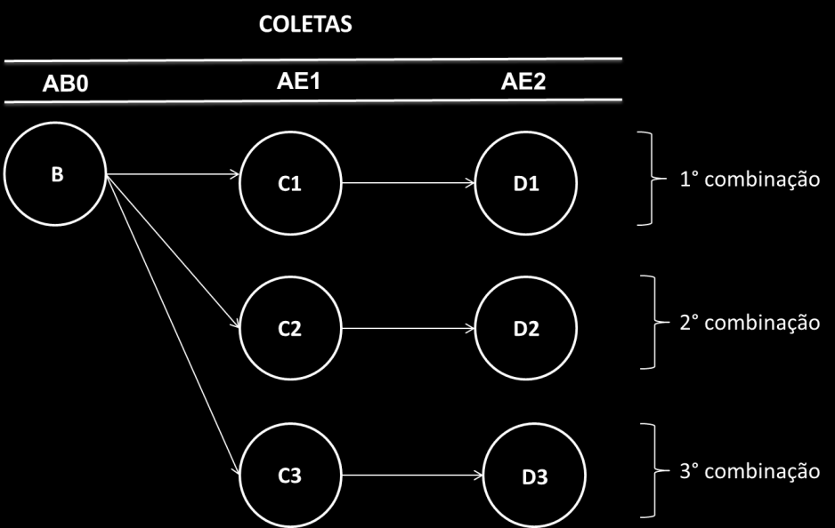 23 Assim foi realizado um sorteio com as amostras de AE2, em que das nove amostras coletadas foram obtidas três amostras (D1, D2, D3) (Figura 6).