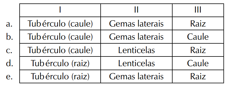 (PUC-MG) A figura abaixo destaca partes da estrutura de três diferentes (vegetais). 8.