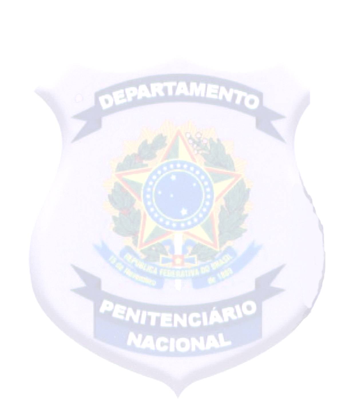 MINISTÉRIO DA JUSTIÇA DEPARTAMENTO PENITENCIÁRIO NACIONAL RELATÓRIO DA