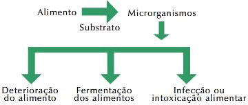 14 Curiosidades... Tabela 1. Número de Microrganismos no Momento de Aparecimento do Odor e Limosidade em Alimentos Protéicos.