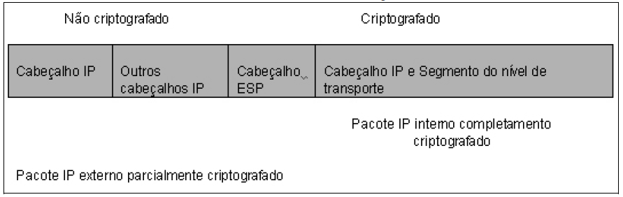 IPSec (IP Security) Modo Túnel Segurança de Redes Usado para cifrar todo pacote IP www.ricardojcsouza.com.