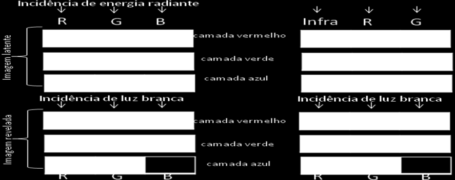 sistema de lentes da câmera e o tempo de exposição à luz.