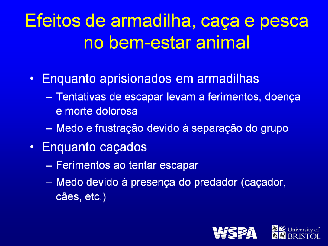 Pegar em armadilha, caçar e pescar afetam o bem-estar de animais individuais.