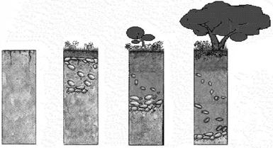 O acúmulo desses sedimentos nos rios e lagos constitui o processo denominado a) assoreamento. b) epirogênese. c) vulcanismo. d) tectonismo.