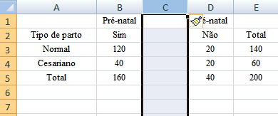 3) Selecione a nova linha e com o botão direito do mouse selecione a opção Colar(*) e tecle Enter (*) Use o ícone para Copiar a área selecionada para a Área de Transferência e o ícone para Colar a