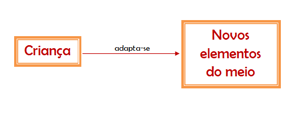 Acomodação Para que ocorra um desenvolvimento intelectual progressivo tem que haver um equilíbrio entre a assimilação e a acomodação. Este equilíbrio é designado por coordenação ou equilibração.