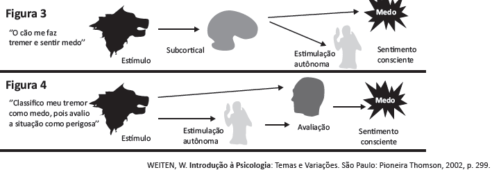 13 QUESTÃO 17 NEUROPSICOLOGIA Profa.