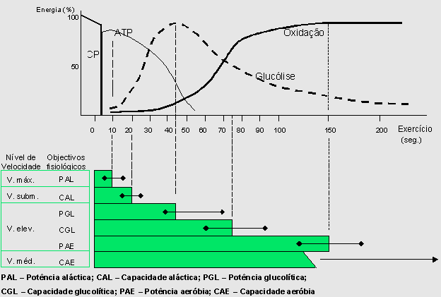 A figura 2 demonstra a evolução das componentes metabólicas em função da duração de cada evento.