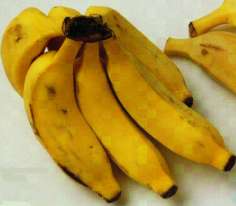 SÍNDROME LÁTEX-FRUTA Elevada Associação Banana Abacate Kiwi