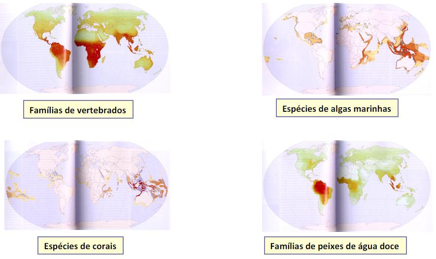 4. Evolução paleogeográfica e paleoclimática: evolução geotectónica, de natureza geológica que dá origem a radiografias distintas se recolhidas em diferentes momentos da história geológica do globo.