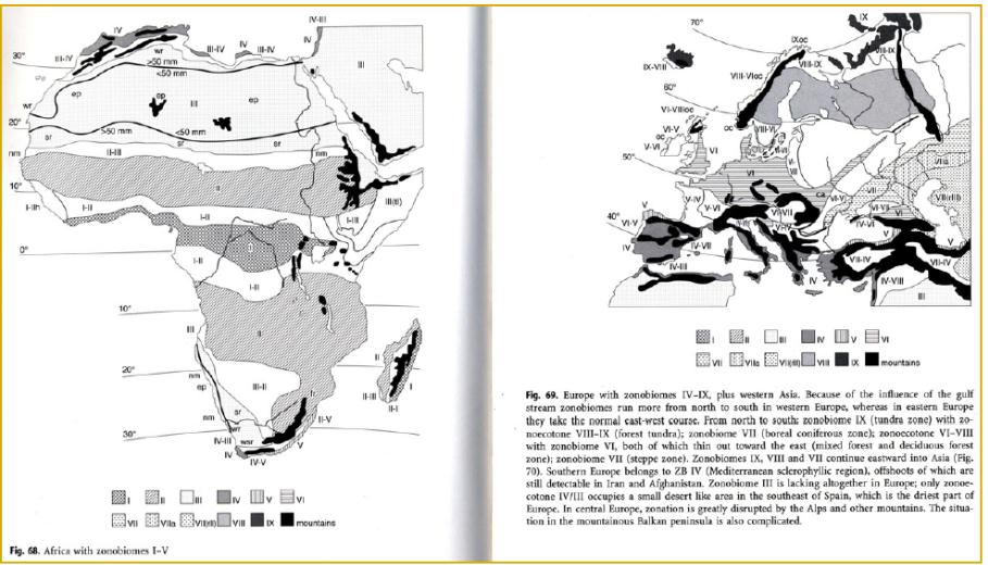 Reinos Biogeográficos Reinos: Boreal, Neotropical, Paleotropical, Cabo, Austrália e Antártida. Há uma certa afinidade na composição e origem dos biotas regionais.