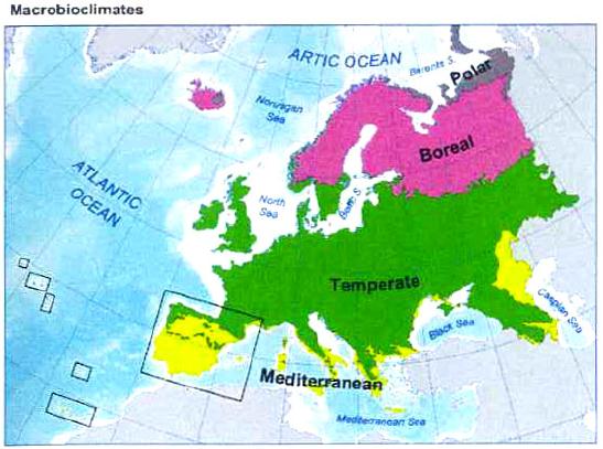 durante poucos meses mas que permite o desenvolvimento de vegetação com ocorrência de alguma diversidade de fauna. Clima Temperado: de natureza mesotérmica, regularidade de precipitação em todo o ano.