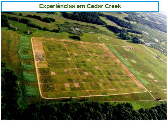 biodiversidade específica, genética e de microorganismos.