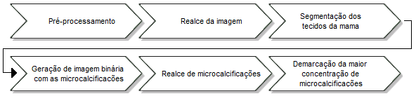 28 Angelo (2007) e Elpídio (2012) utilizaram redes neurais para extrair características da mamografia com o algoritmo de aprendizagem Backpropragation e classificaram conforme o BI-RADS, enquanto