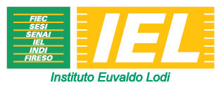 pesquisa, avaliação e execução do Projeto Social Vira Vida, visando ao cumprimento dos objetivos organizacionais para este projeto. 4. RECRUTAMENTO: Interno e Externo 5. NÚMERO DE VAGAS: 01 6.